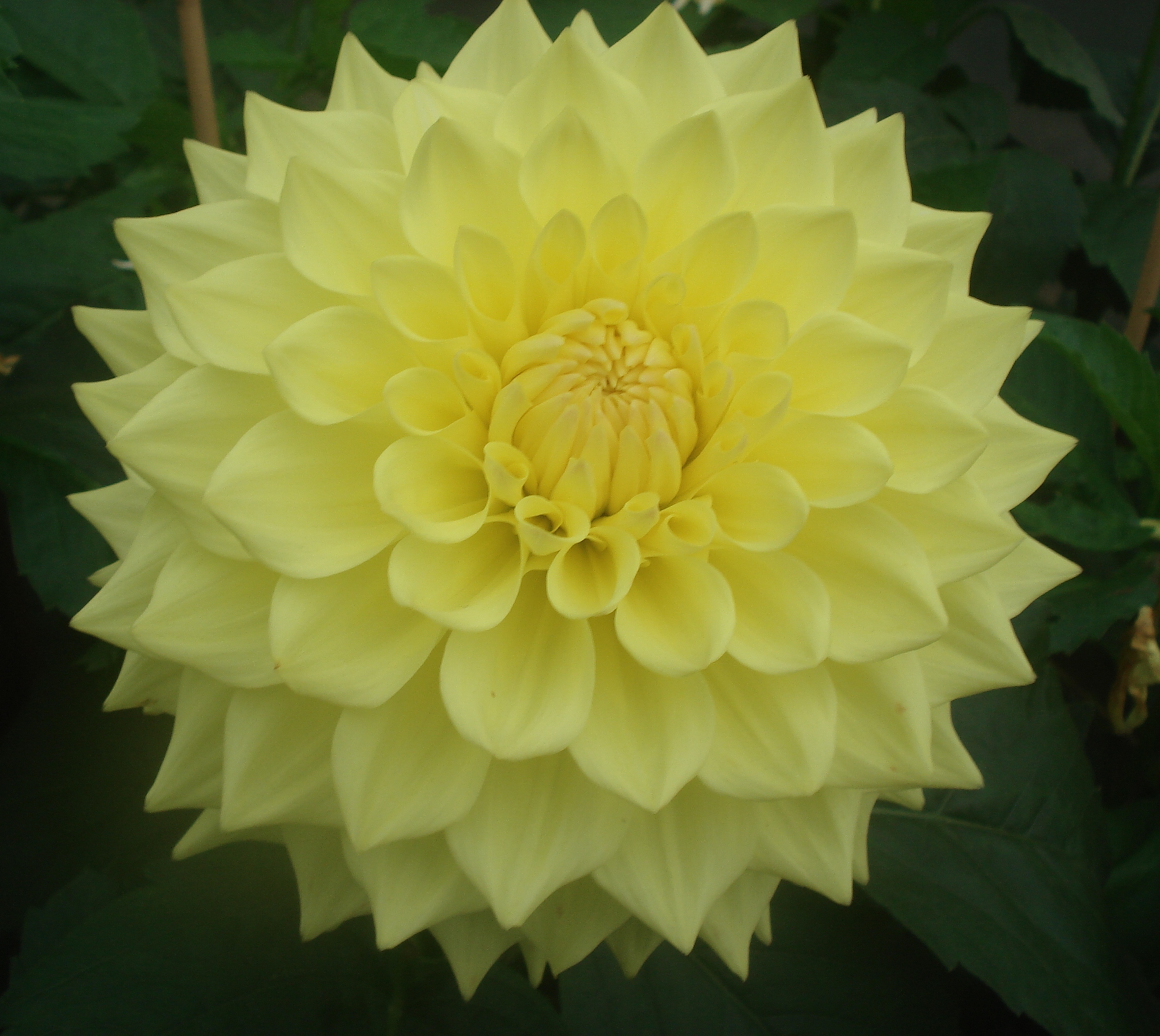 Mary Margaret Row.JPG (9311 bytes)